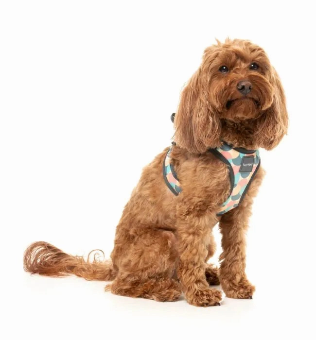 FuzzYard Carioca Step?In Dog Harness