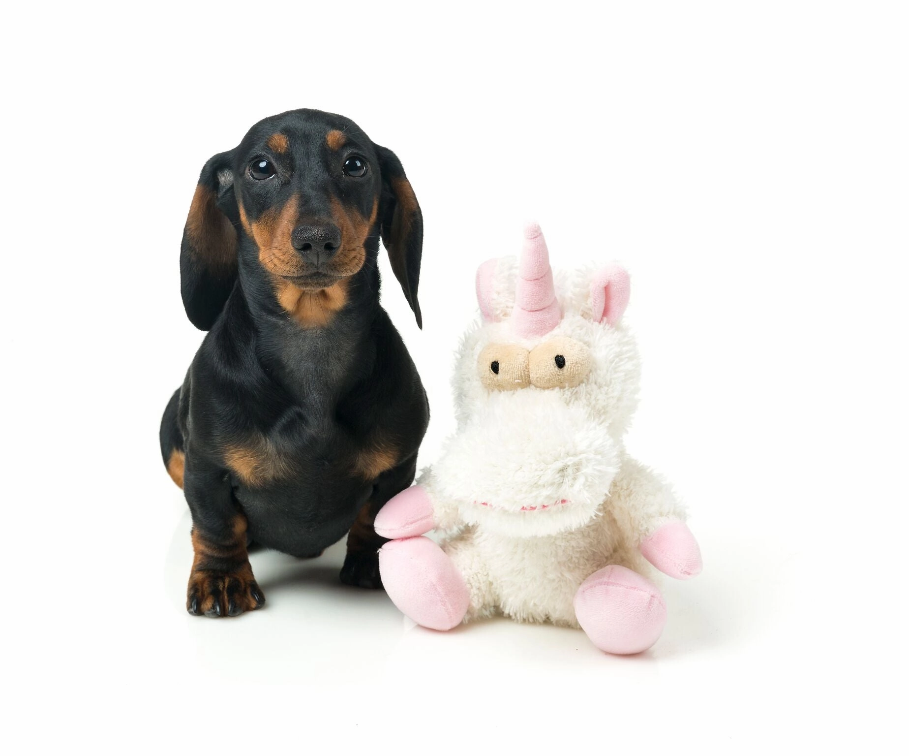 FuzzYard Electra The Unicorn Dog Toy