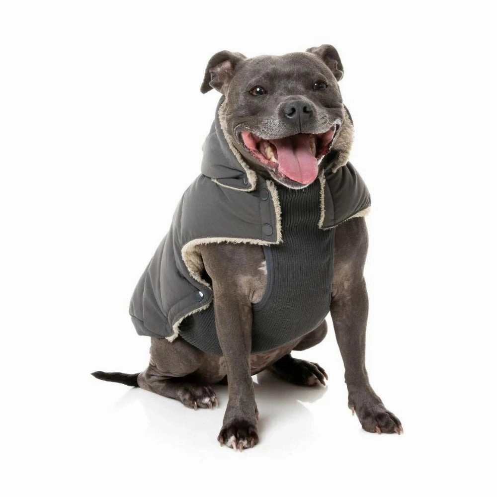 FuzzYard Essential Puffer Dog Jacket - Charcoal