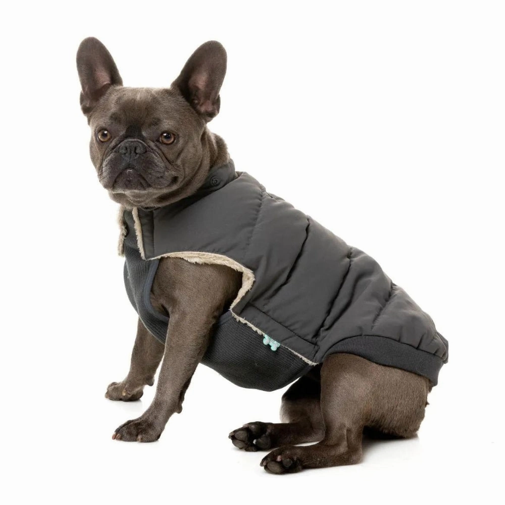 FuzzYard Essential Puffer Dog Jacket - Charcoal