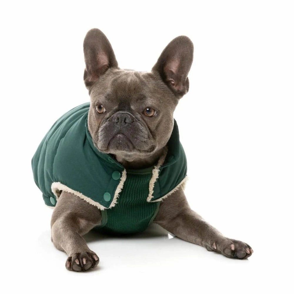 FuzzYard Essential Puffer Dog Jacket - Forest Green
