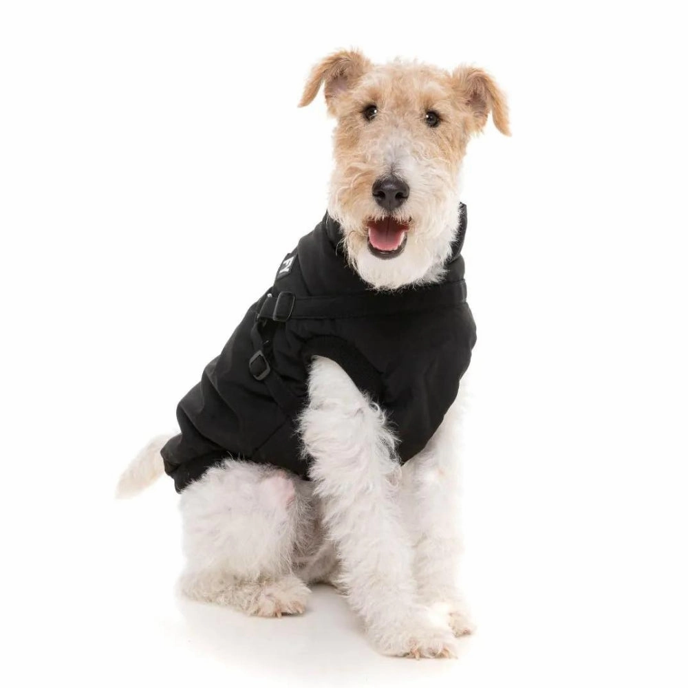 FuzzYard Flash Dog Harness Jacket - Black