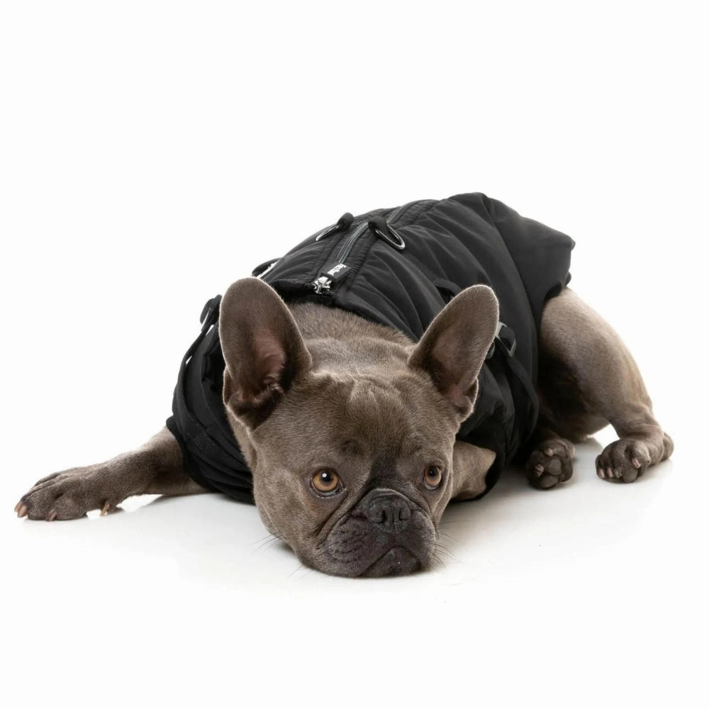 FuzzYard Flash Dog Harness Jacket - Black