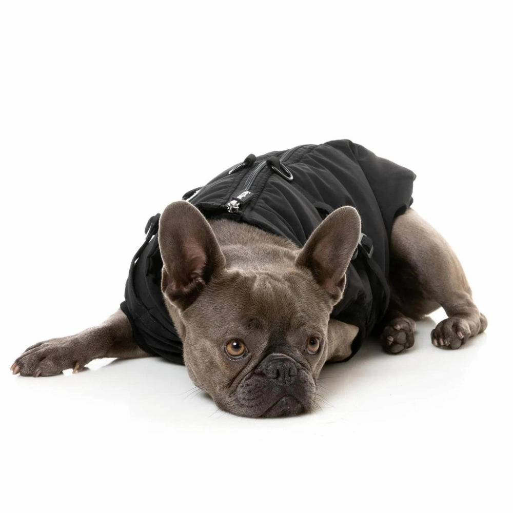 FuzzYard Flash Dog Harness Jacket - Black