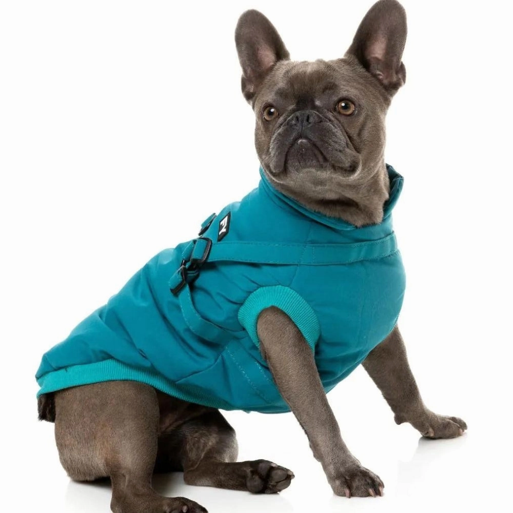 FuzzYard Flash Dog Harness Jacket - Dark Teal