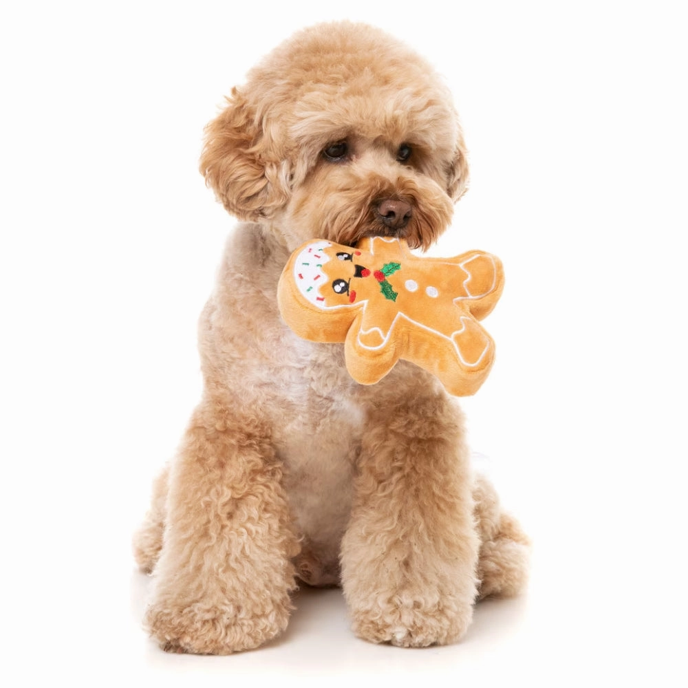 FuzzYard Fred The Gingerbread Man Christmas Dog Toy