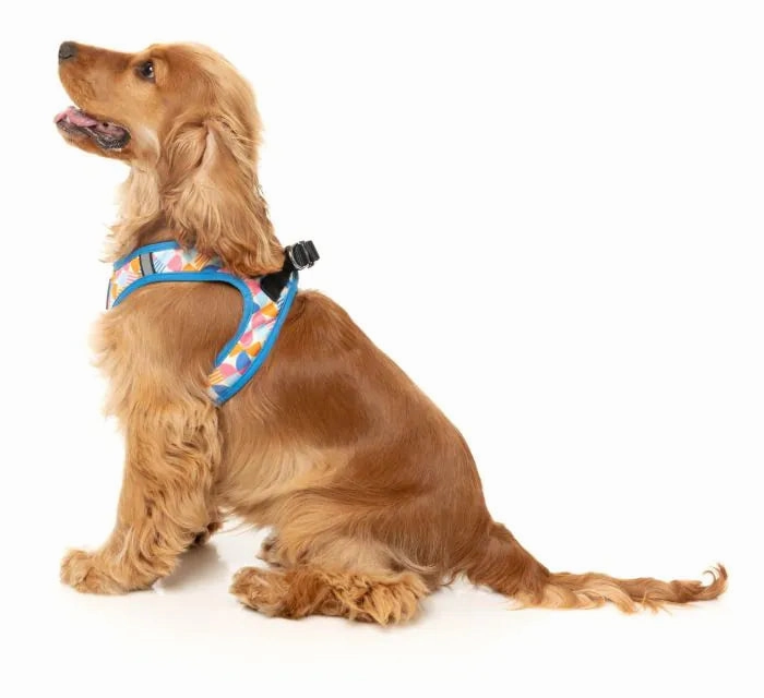 FuzzYard Fresh Zest Step in Dog Harness