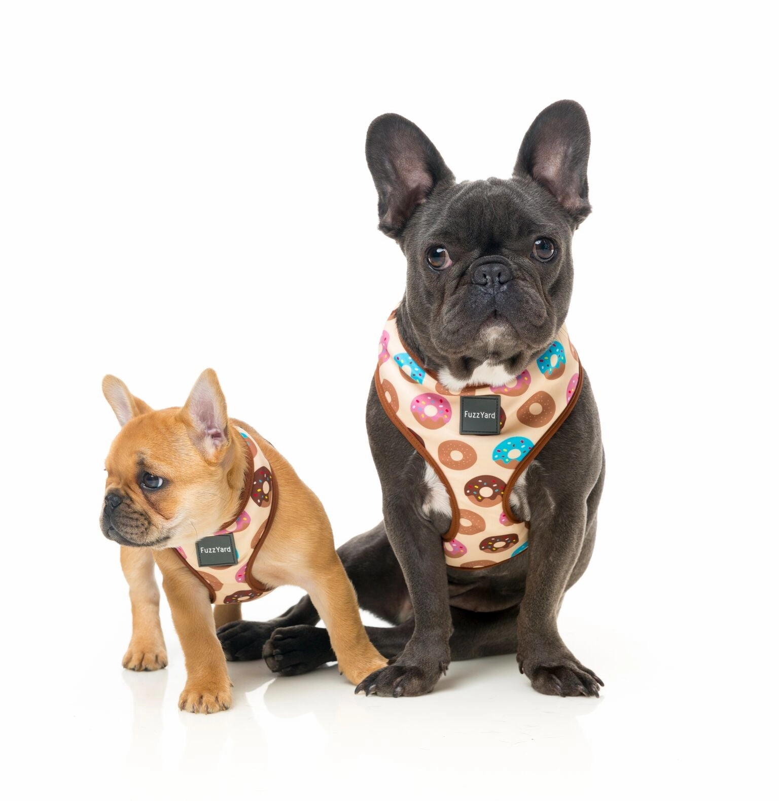 FuzzYard Go Nuts Dog Harness