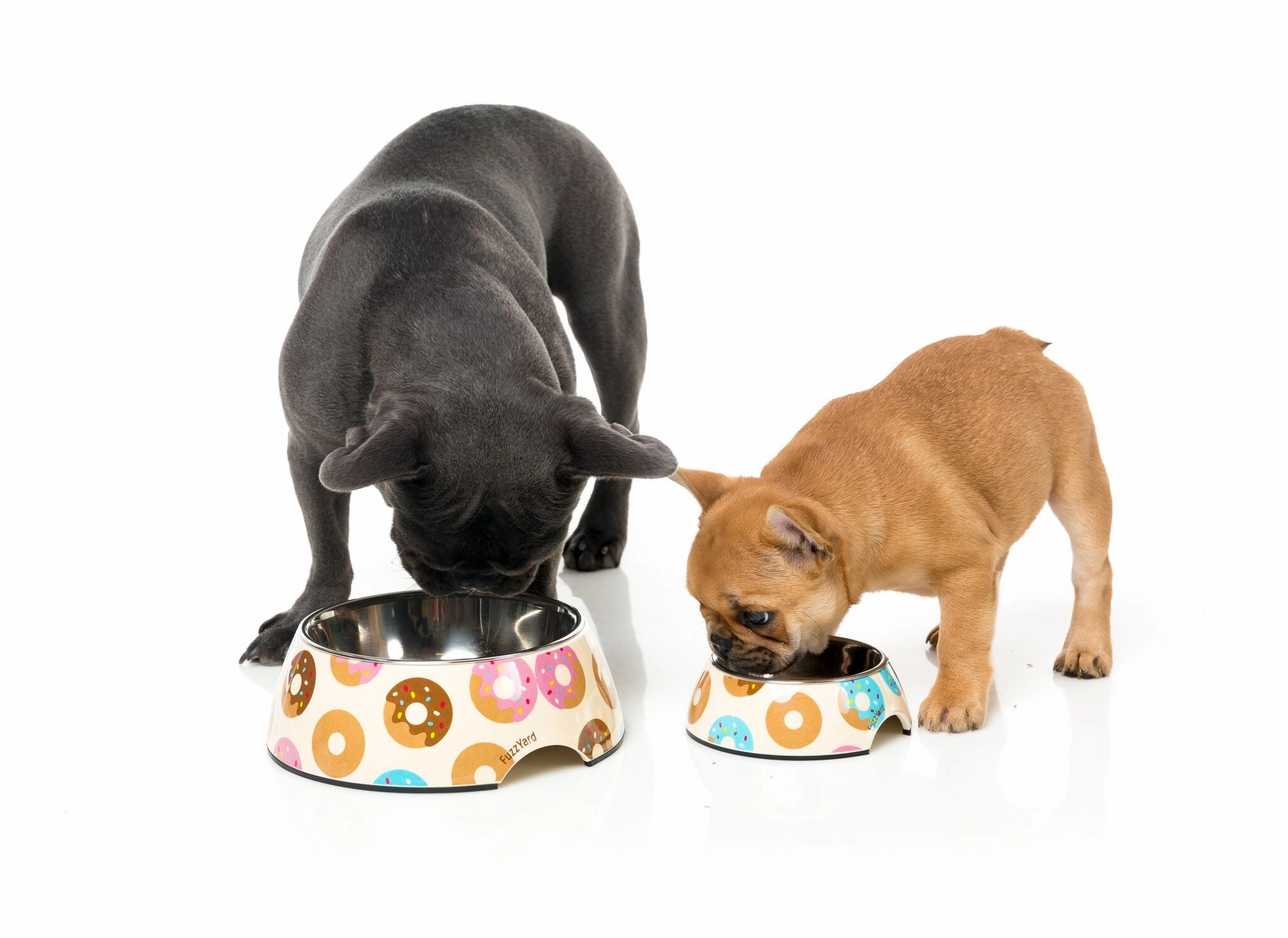 FuzzYard Go Nuts Easy Feeder Dog Bowl