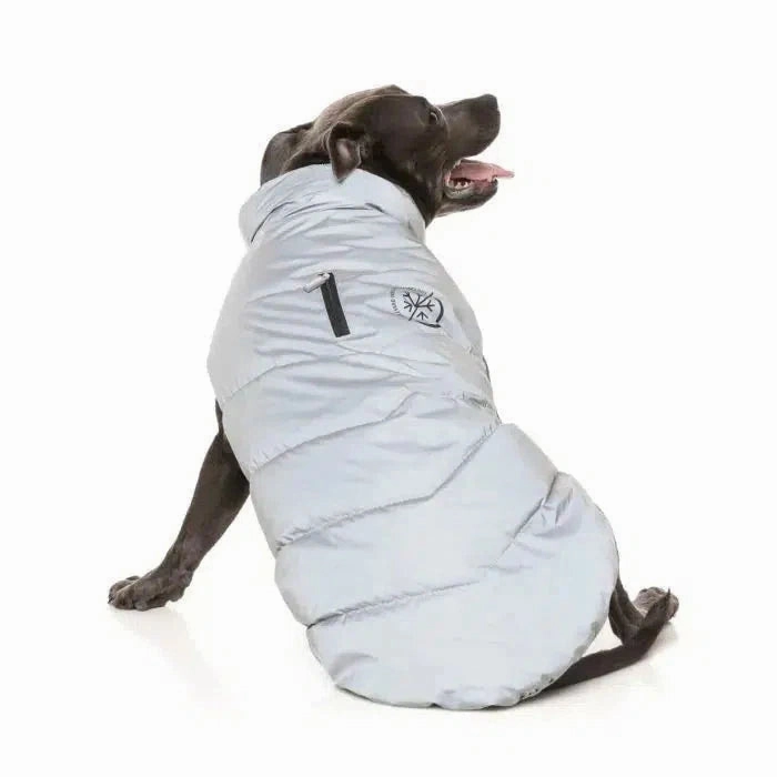 FuzzYard Hakuba Dog Jacket - Reflective