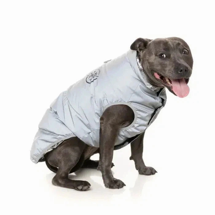 FuzzYard Hakuba Dog Jacket - Reflective