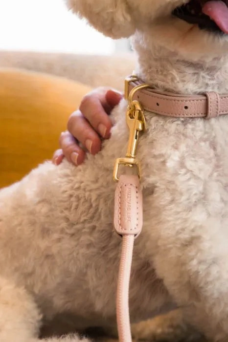FuzzYard Life Atelier Dog Collar - Blush Pink