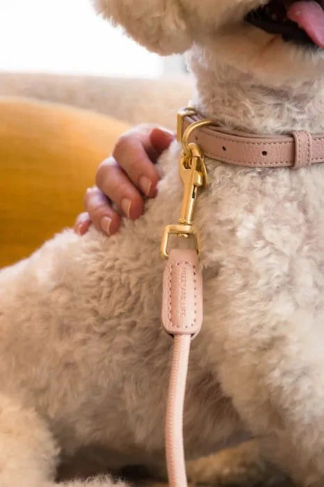 FuzzYard Life Atelier Dog Collar - Blush Pink