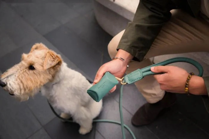 FuzzYard Life Atelier Dog Collar - Myrtle Green
