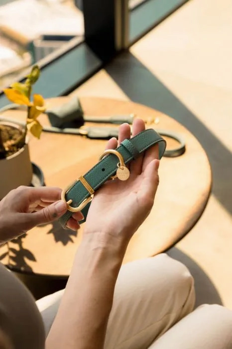 FuzzYard Life Atelier Dog Collar - Myrtle Green