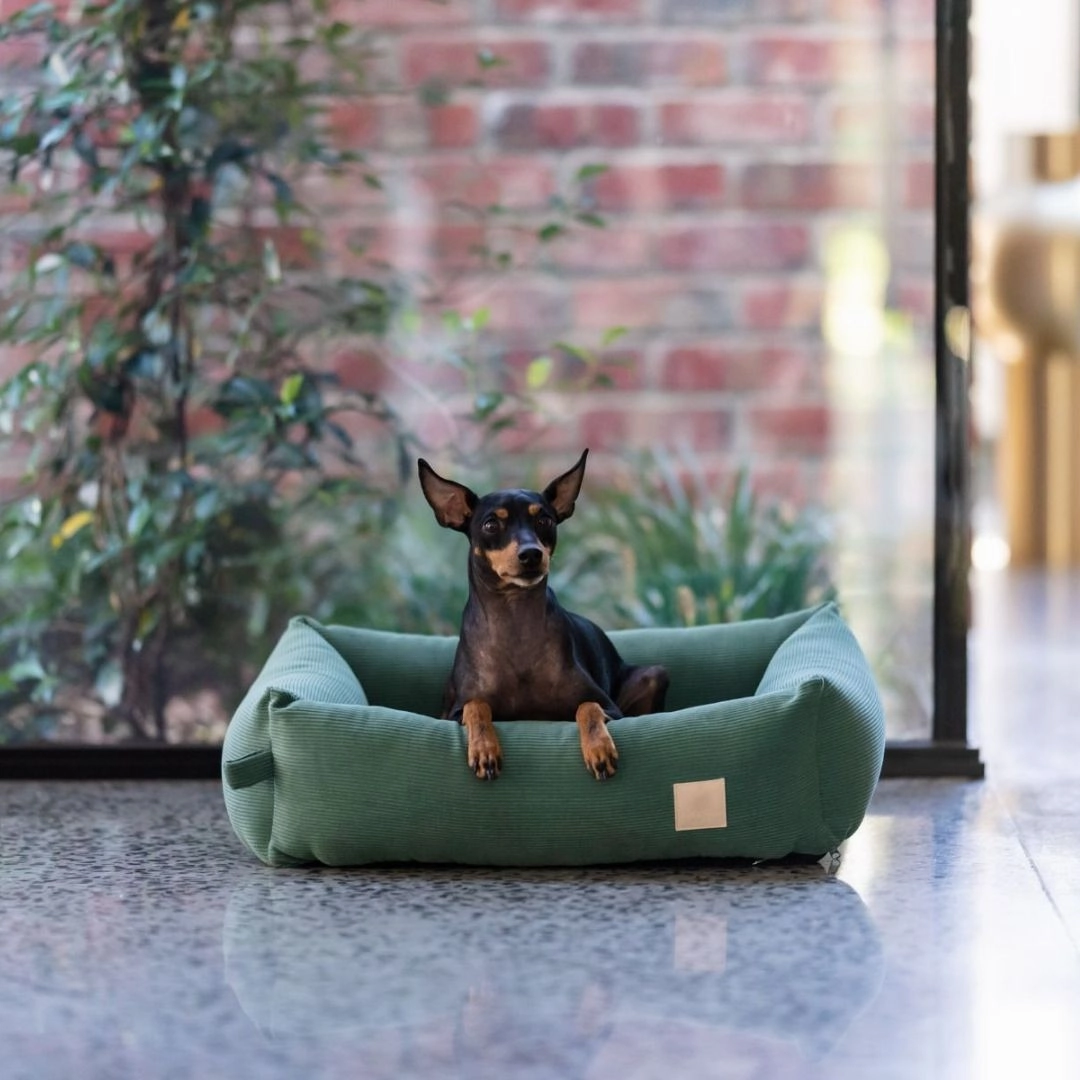 FuzzYard Life Corduroy Dog Bed in Myrtle Green