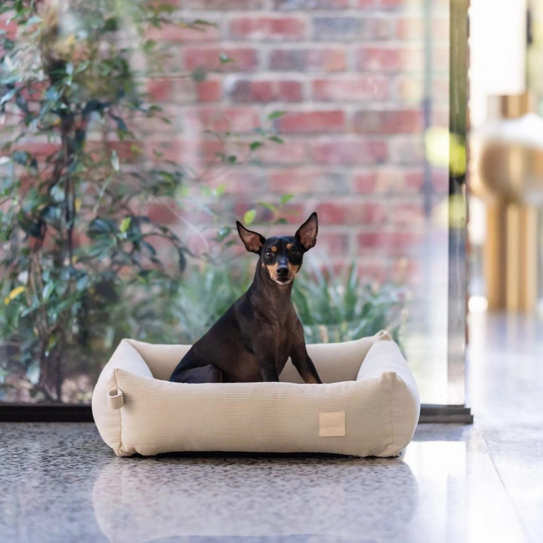 FuzzYard Life Corduroy Dog Bed in Sandstone
