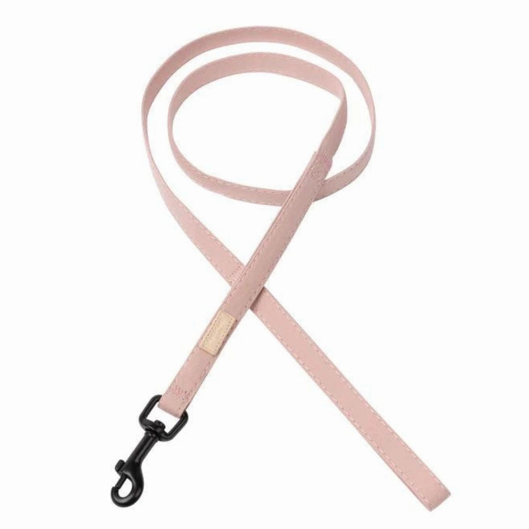 FuzzYard Life Dog Leads