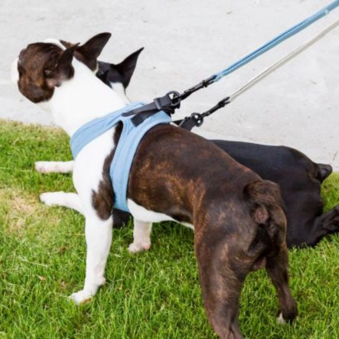 FuzzYard Life Step-In Dog Harness In French Blue