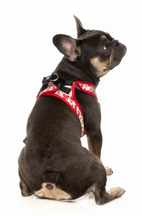 FuzzYard Meat Heads Step in Dog Harness