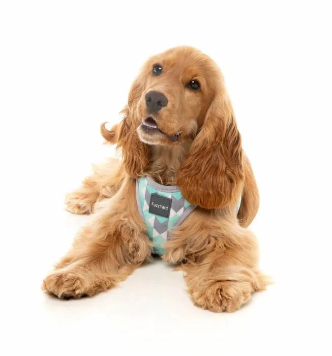 FuzzYard Mint Fizz Step?In Dog Harness