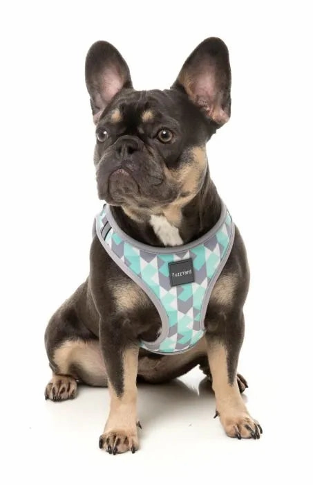 FuzzYard Mint Fizz Step?In Dog Harness