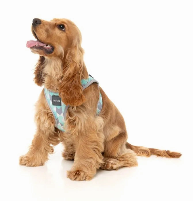 FuzzYard Mint Fizz Step?In Dog Harness