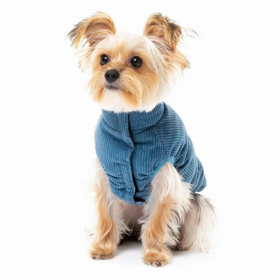 FuzzYard Mosman Corduroy Puffer Dog Jacket - Washed Blue