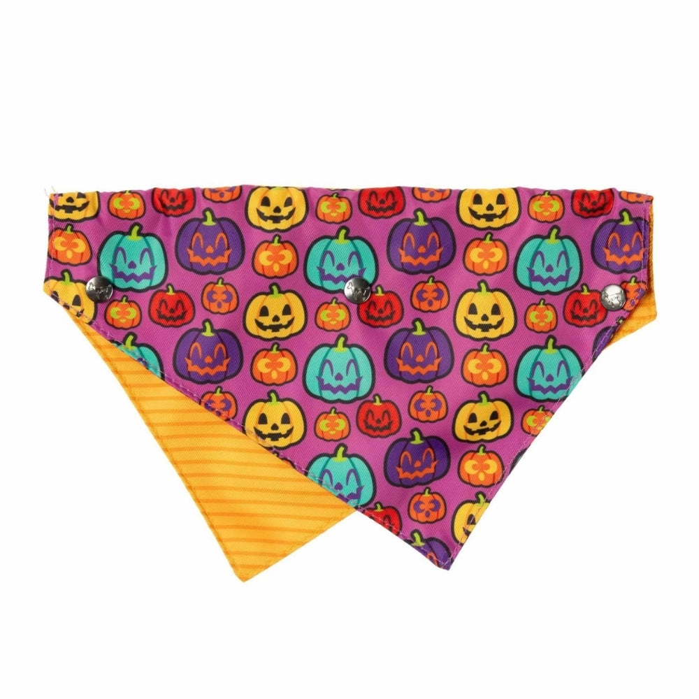 FuzzYard Oh My Gourd! 2 Pack Bow Tie & Bandana
