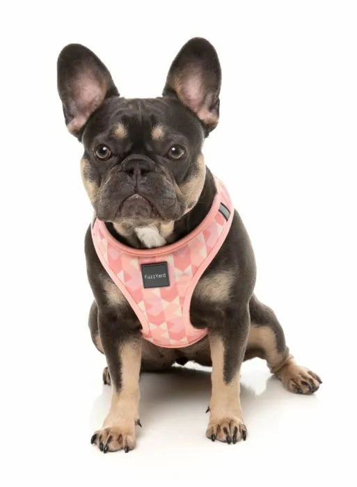 FuzzYard Pink Lemonade Step in Dog Harness