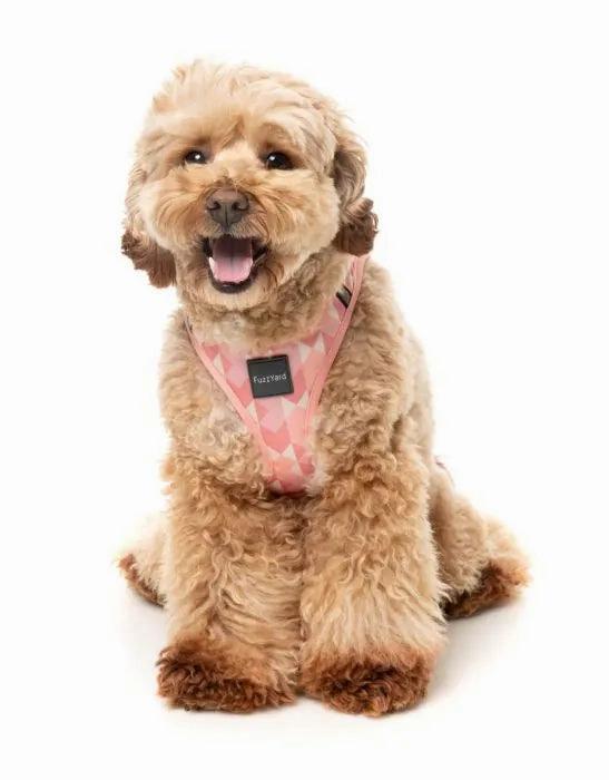 FuzzYard Pink Lemonade Step in Dog Harness
