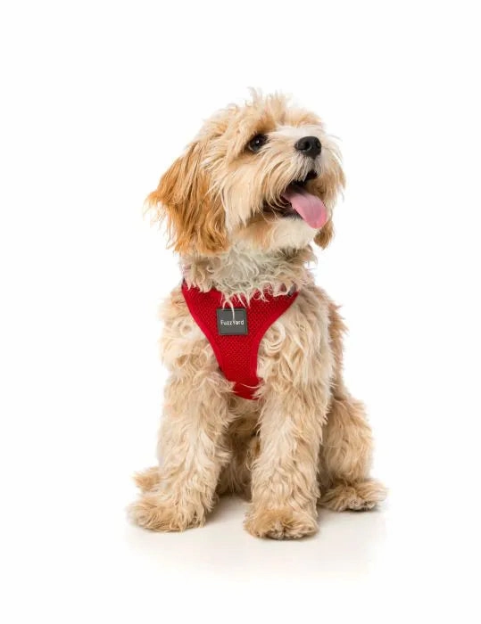 FuzzYard Rebel - Step in Dog Harness Red