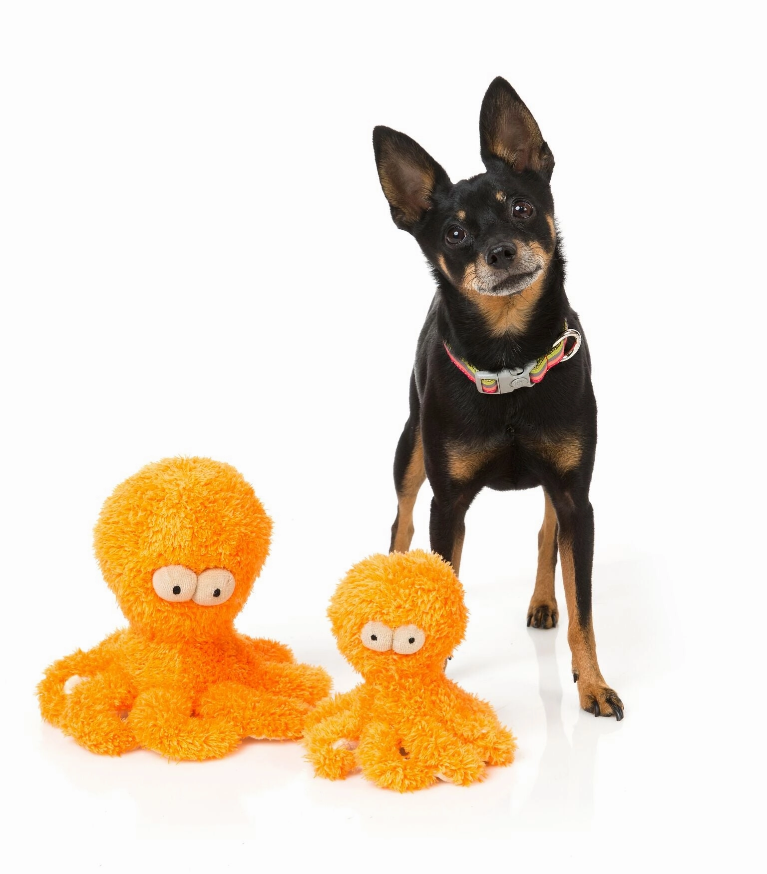FuzzYard Sir Legs A Lot The Octopus Dog Toy