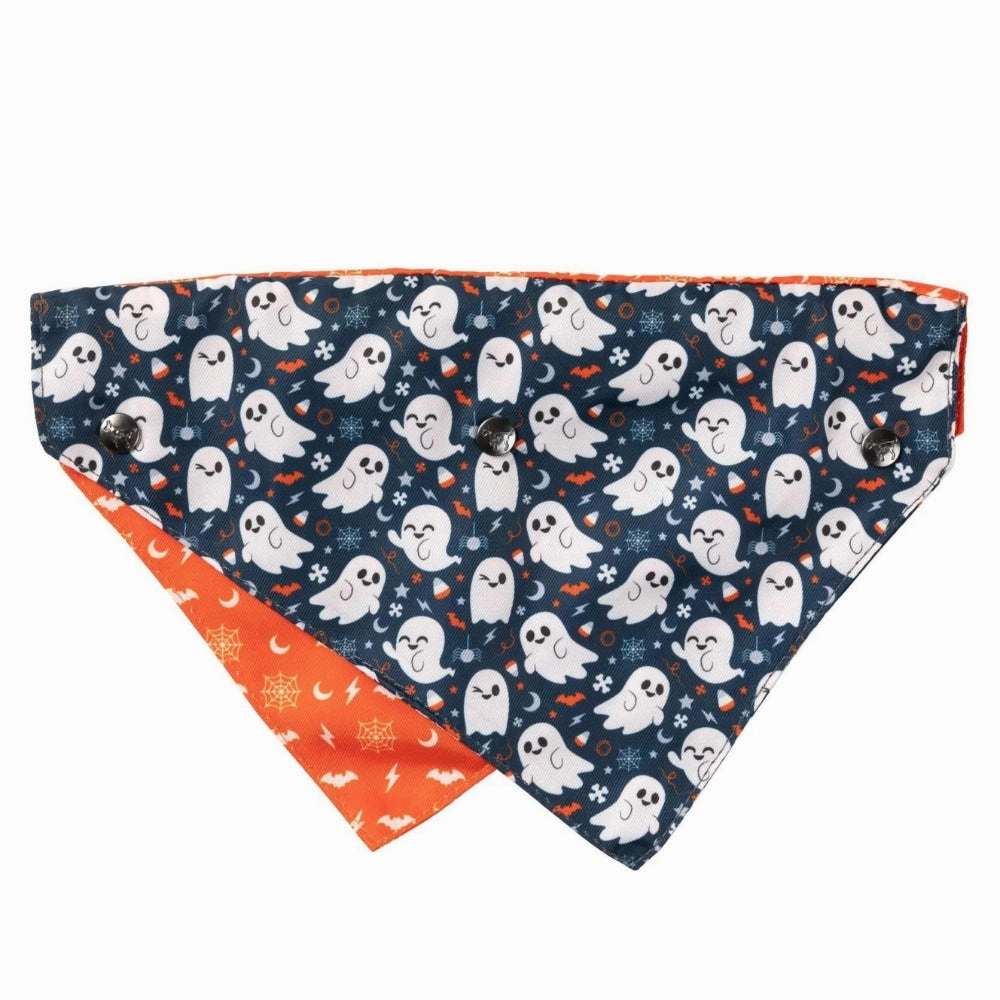 FuzzYard That??s The Spirit 2 Pack Bow Tie & Bandana