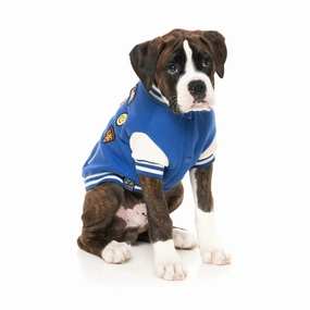 FuzzYard The Letterman Jacket - Blue