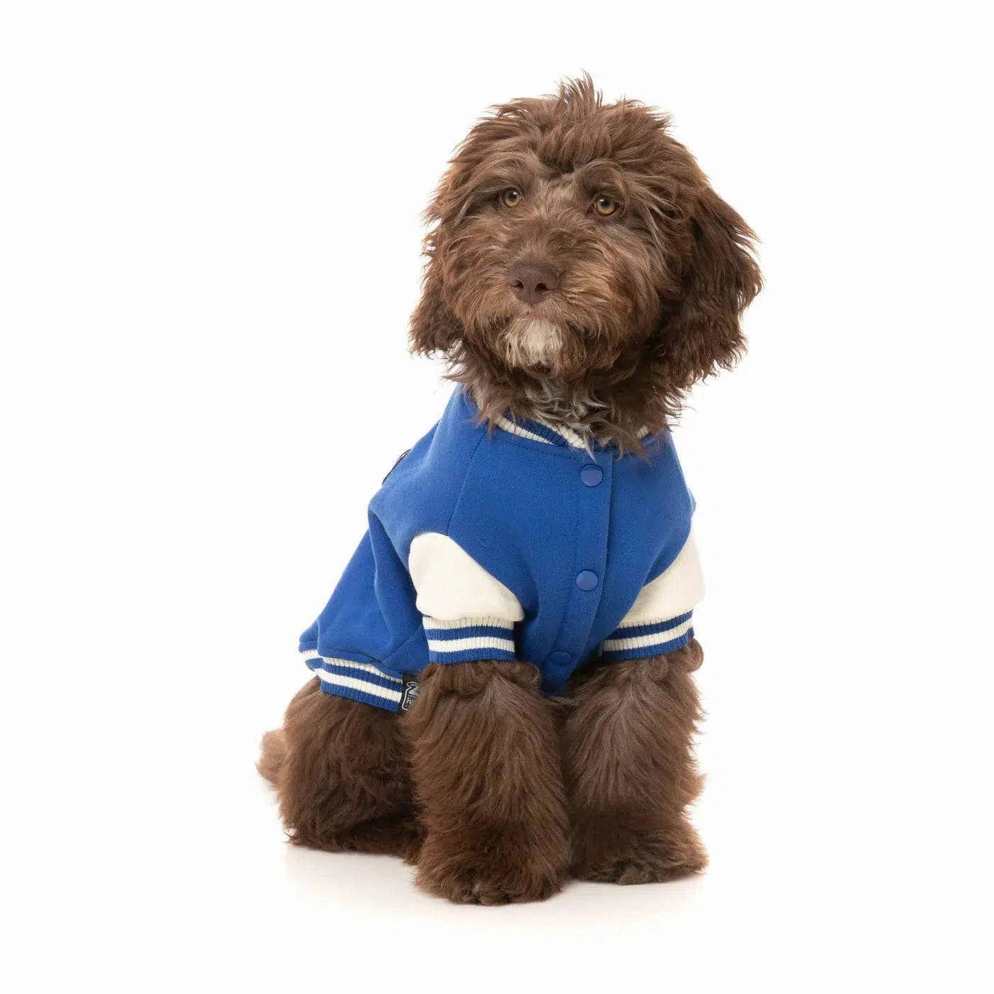 FuzzYard The Letterman Jacket - Blue