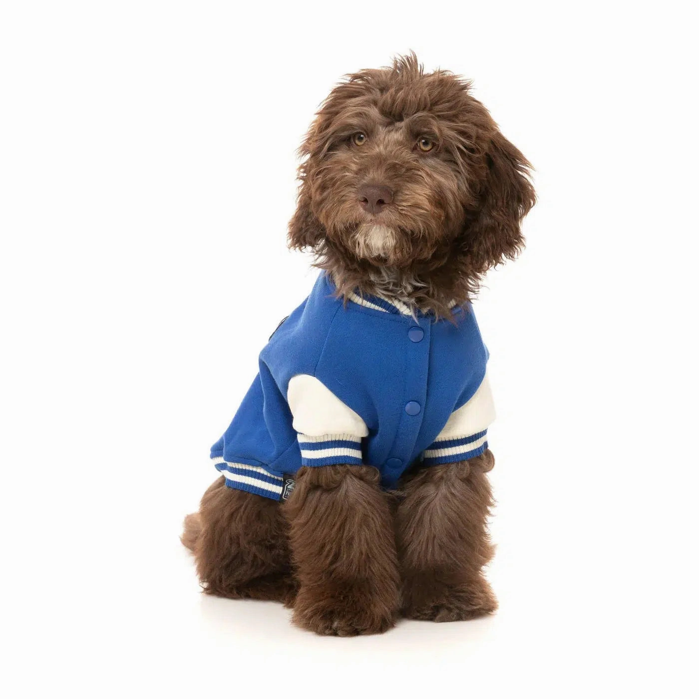 FuzzYard The Letterman Jacket - Blue