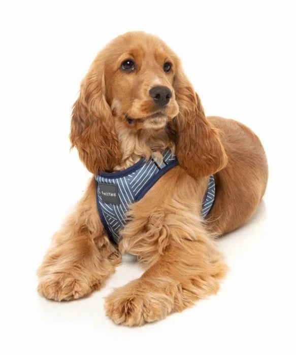 FuzzYard Thornbury Step?In Dog Harness ?C Aegean Blue