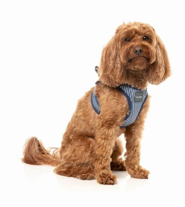FuzzYard Thornbury Step?In Dog Harness ?C Aegean Blue