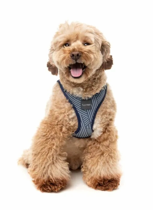 FuzzYard Thornbury Step?In Dog Harness ?C Aegean Blue