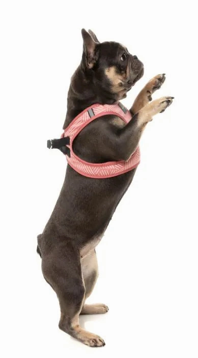 FuzzYard Thornbury Step?In Dog Harness ?C Brick Red