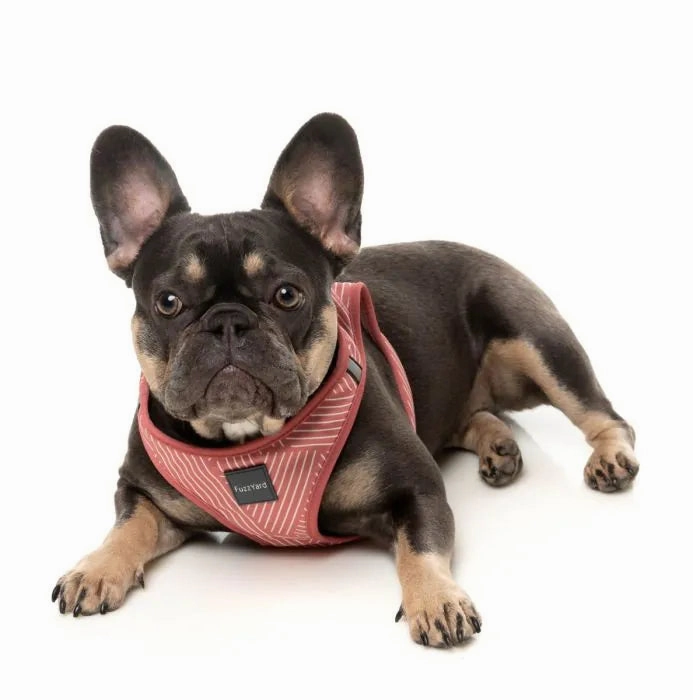 FuzzYard Thornbury Step?In Dog Harness ?C Brick Red