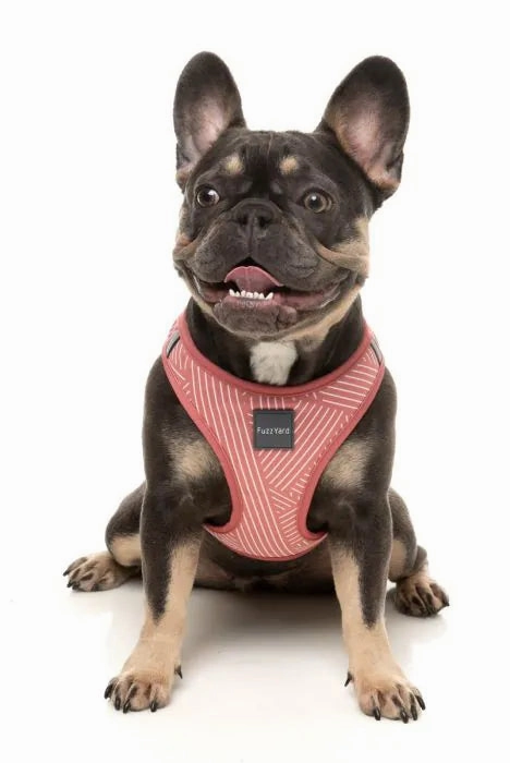 FuzzYard Thornbury Step?In Dog Harness ?C Brick Red