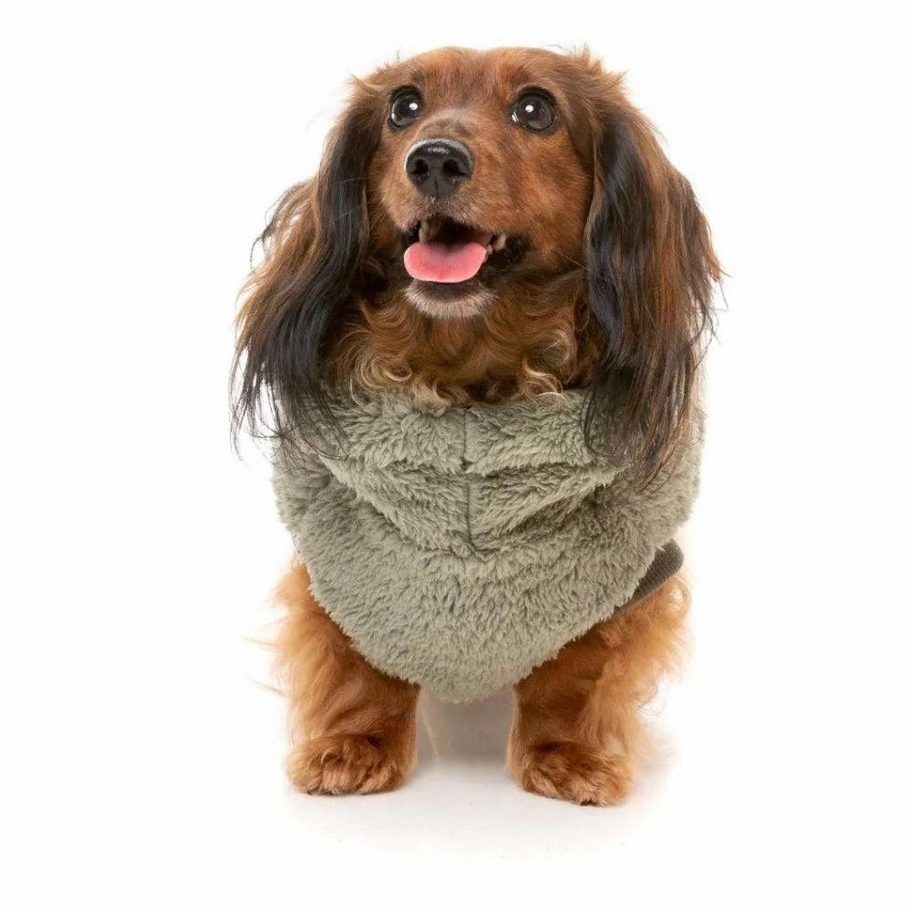 FuzzYard Turtle Teddy 24 Sweater - Rosemary
