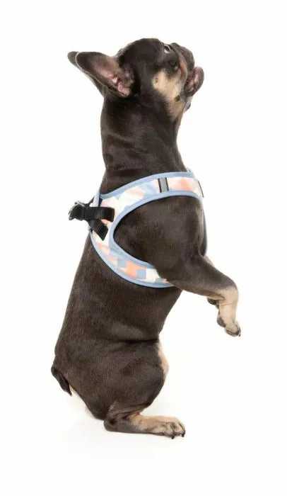 FuzzYard Yazd Step?In Dog Harness
