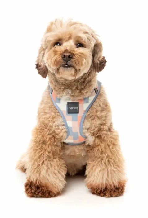 FuzzYard Yazd Step?In Dog Harness