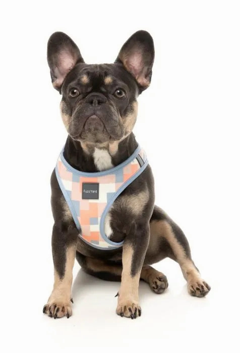 FuzzYard Yazd Step?In Dog Harness
