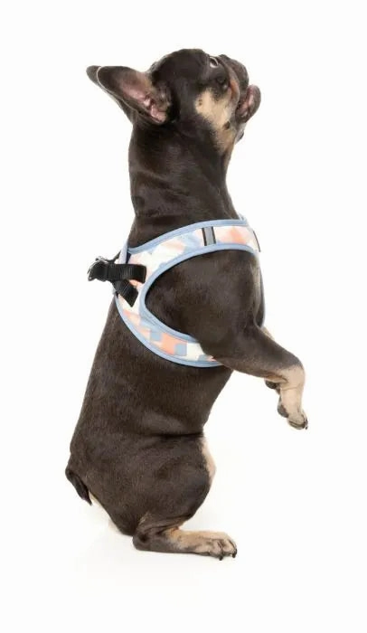 FuzzYard Yazd Step?In Dog Harness