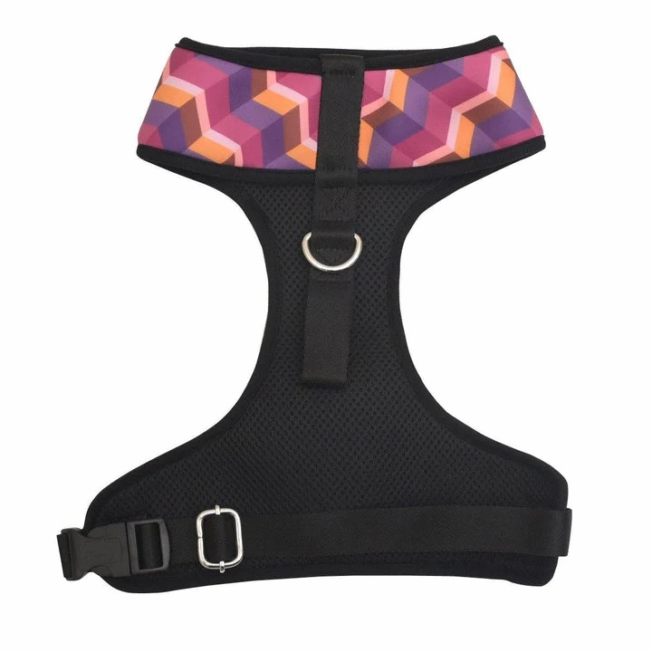 Geometrical Dark Harness