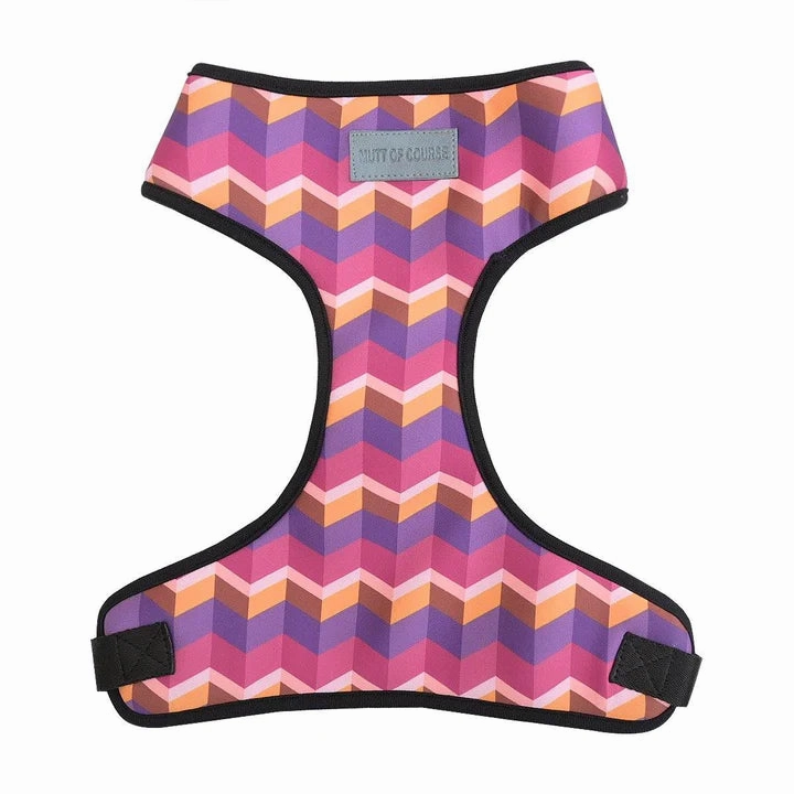 Geometrical Dark Harness